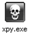 immagine logo xpy